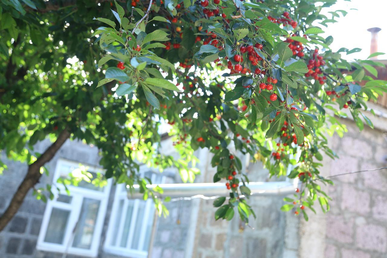 Guest House David'S B&B Ghiumri Exterior foto